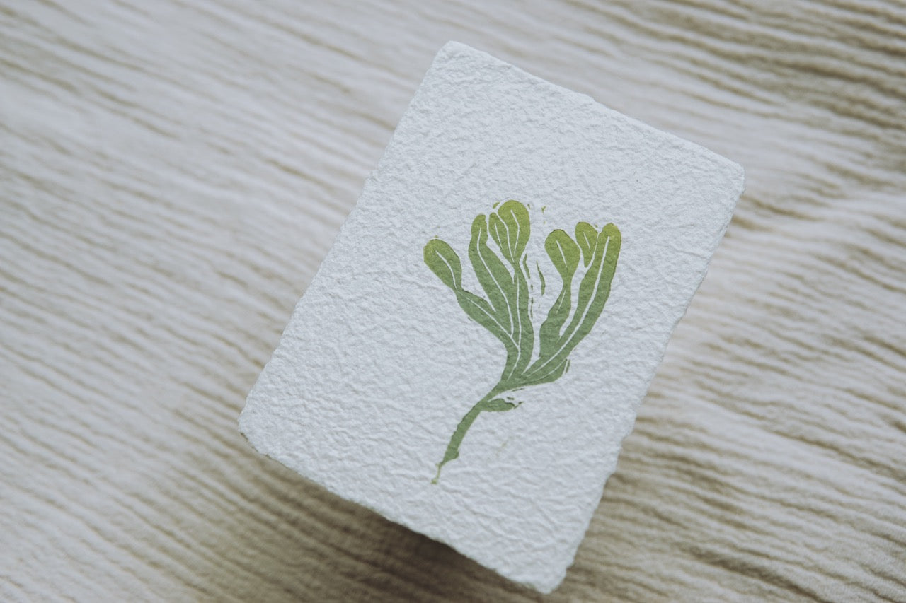Mini Seaweed ✸ Linocut A7 Print