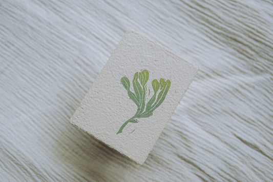 Mini Seaweed ✸ Linocut A7 Print